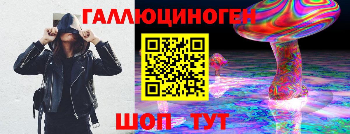 Черкесск  Галлюциногенные грибы мицелий  Вход с VPN  Галлюциногенные грибы GOLDEN TEACHER 